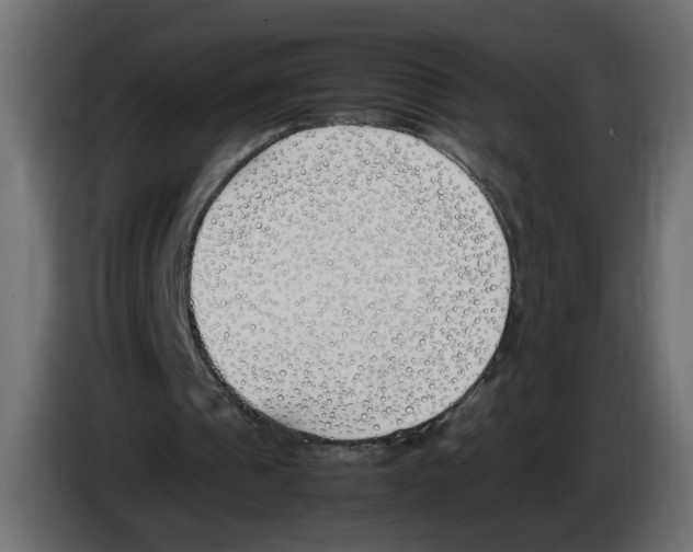 X0000083010241200703021947