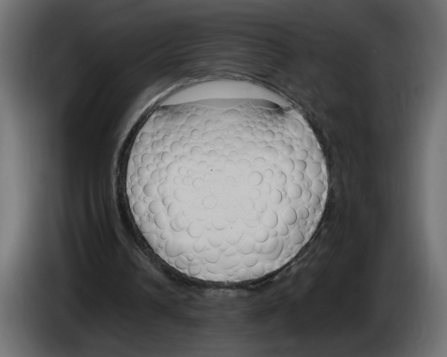 X0000083010242200703021947