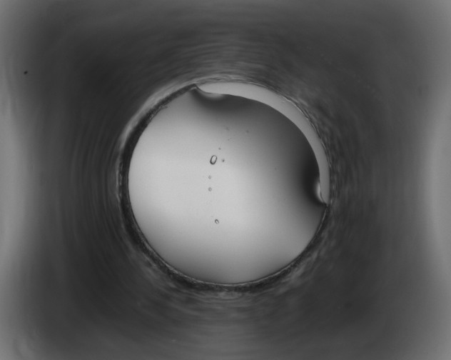 X0000083010244200703021947