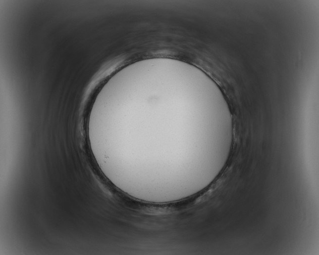 X0000083010245200703021947