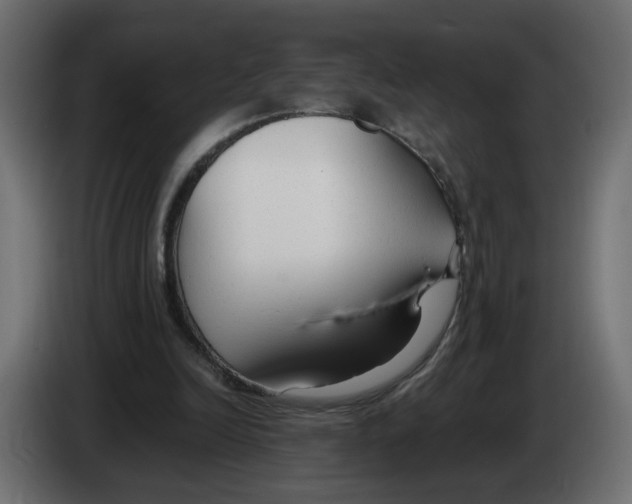 X0000083010246200703021947