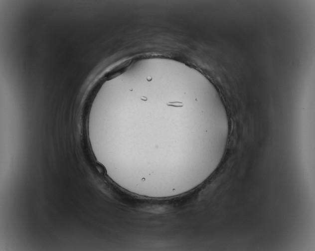 X0000083010247200703021947