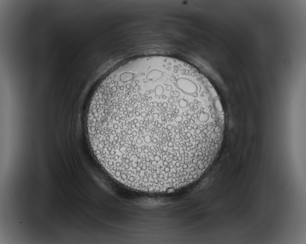 X0000083010250200703021947