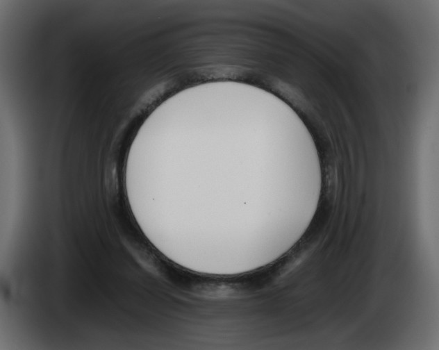 X0000083010254200703021947