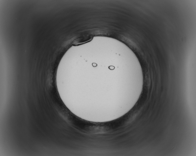 X0000083010255200703021947