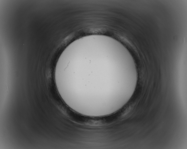 X0000083010260200703021947