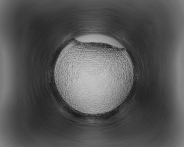 X0000083010264200703021947