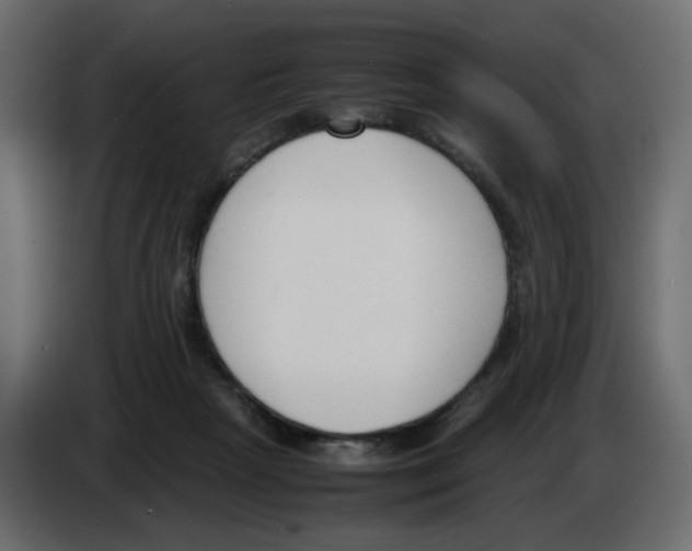 X0000083010265200703021947