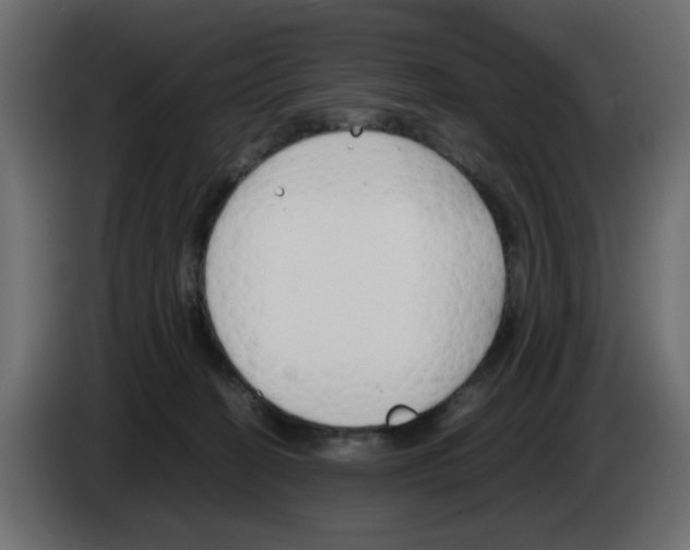 X0000083010274200703021947