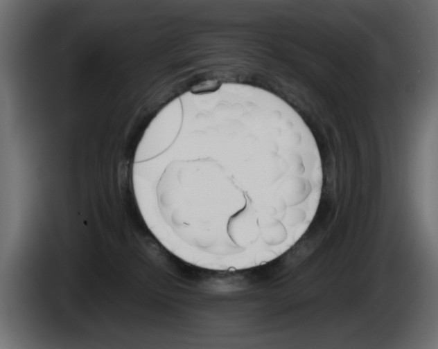 X0000083010278200703021947