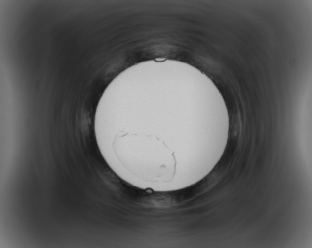 X0000083010279200703021947