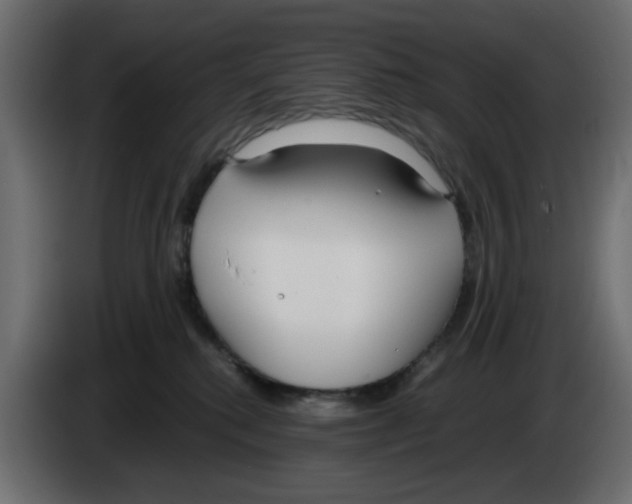 X0000083010280200703021947