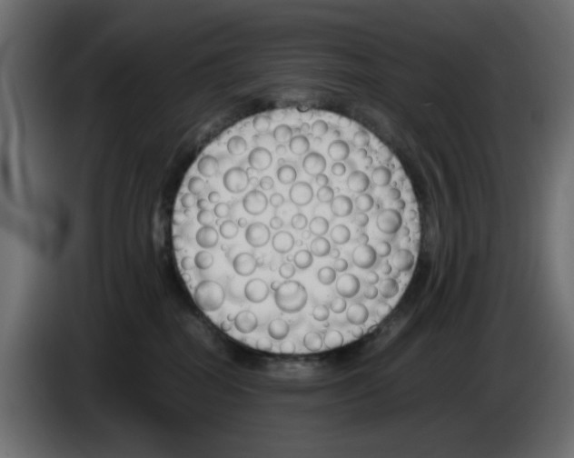 X0000083010282200703021947