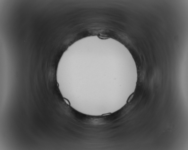 X0000083010283200703021947