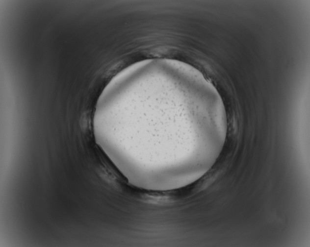 X0000083010284200703021947