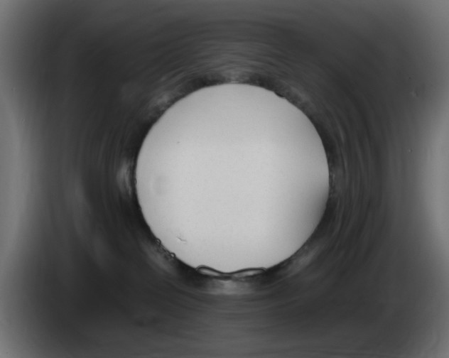 X0000083010286200703021947