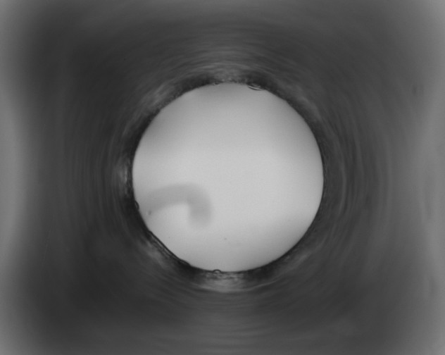 X0000083010288200703021947