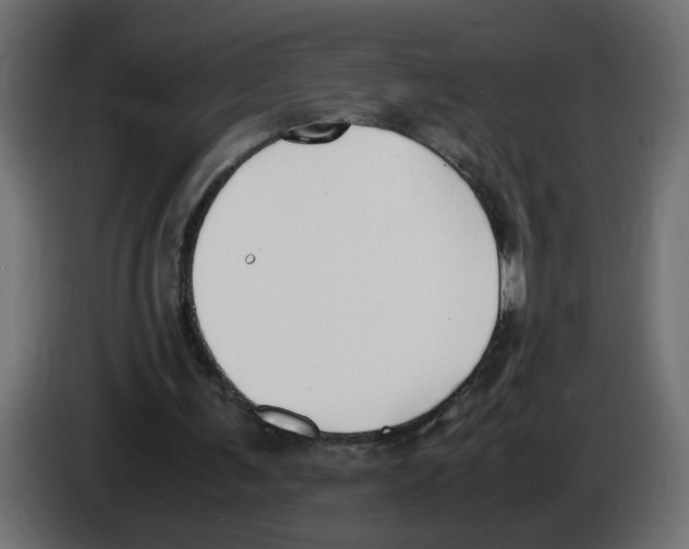 X0000083010291200703021947