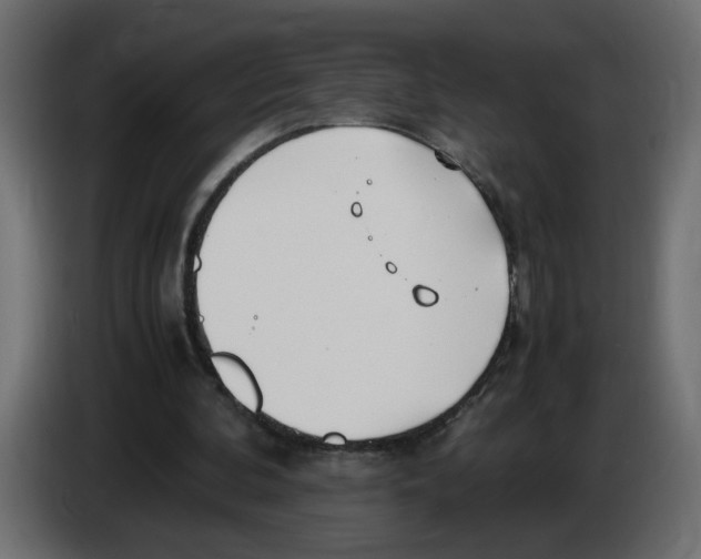 X0000083010292200703021946