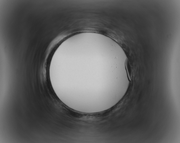 X0000083010294200703021946