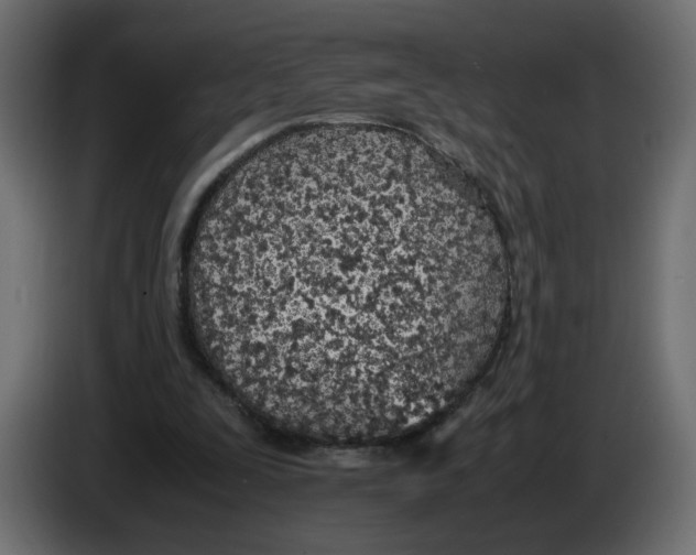 X0000083010295200703021946