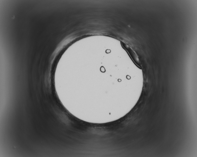 X0000083010296200703021946