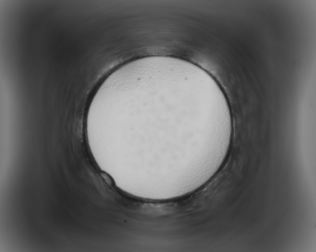 X0000083010297200703021946