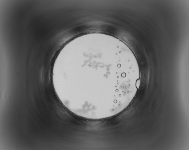 X0000083010301200703021946