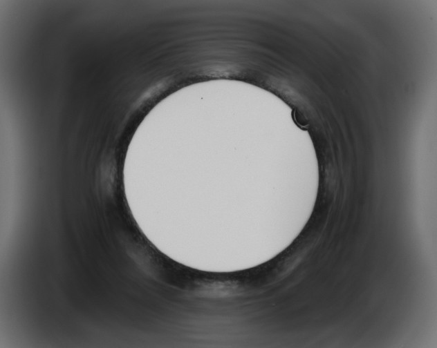 X0000083010304200703021946