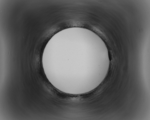 X0000083010306200703021946