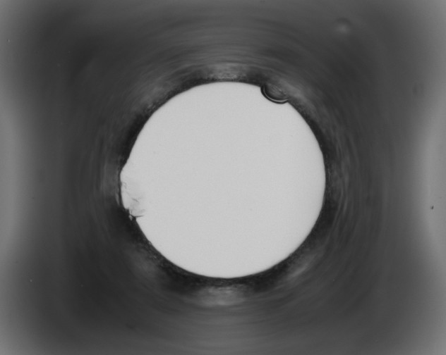 X0000083010307200703021946