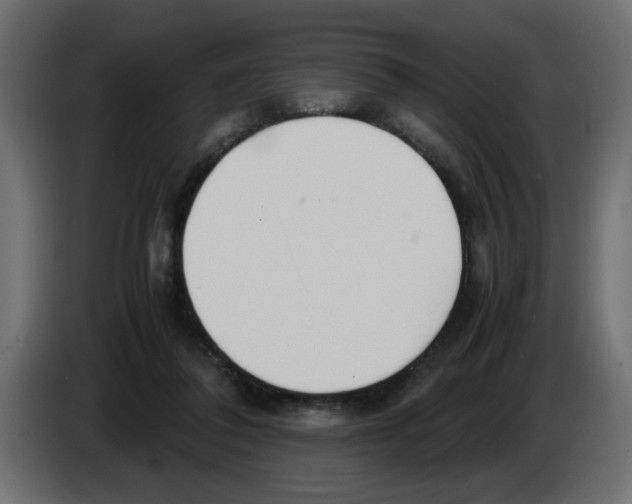 X0000083010308200703021946