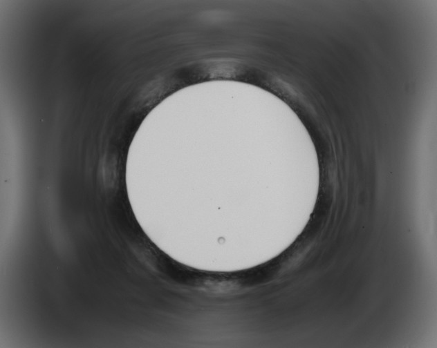 X0000083010311200703021946