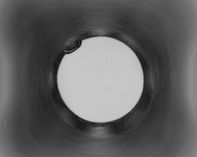 X0000083010312200703021946