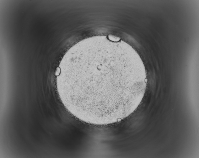 X0000083010313200703021946