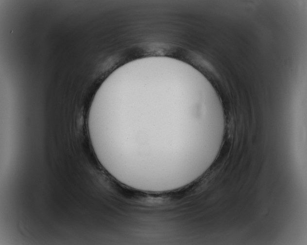 X0000083010314200703021946