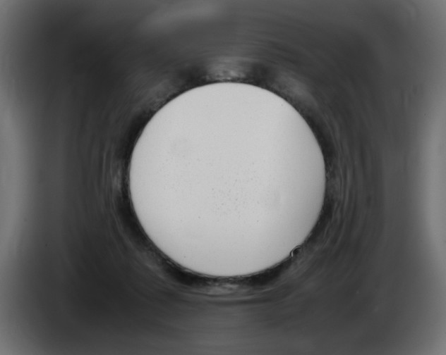 X0000083010315200703021946