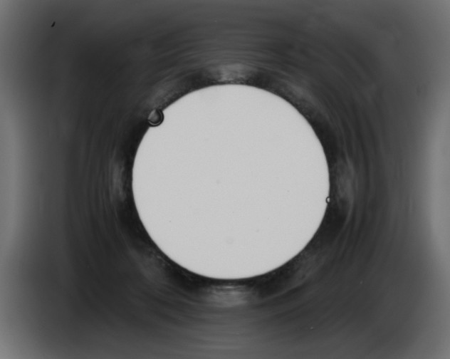 X0000083010316200703021946