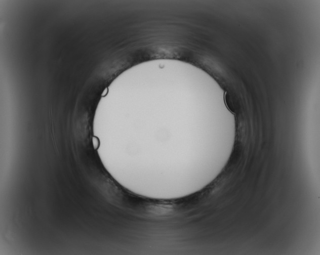 X0000083010318200703021946