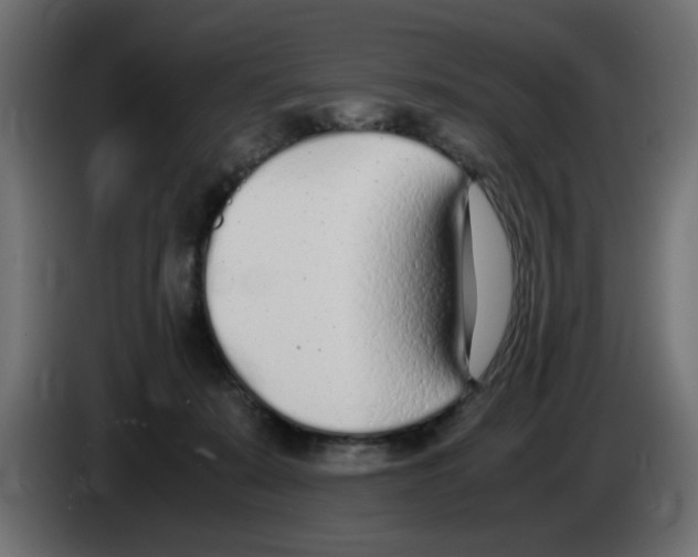 X0000083010319200703021946