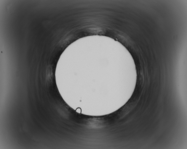 X0000083010320200703021946