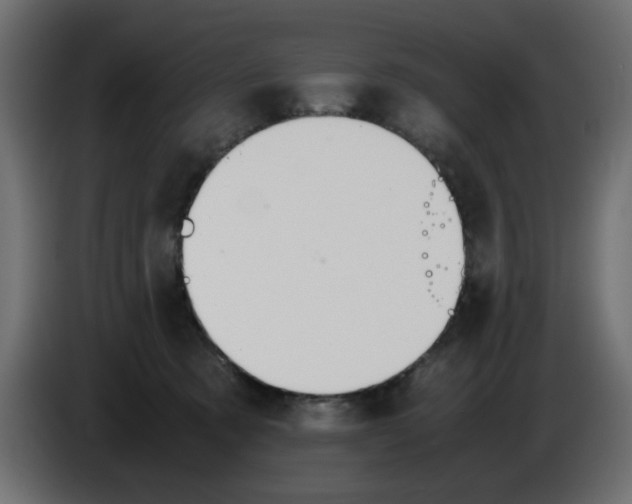 X0000083010321200703021946