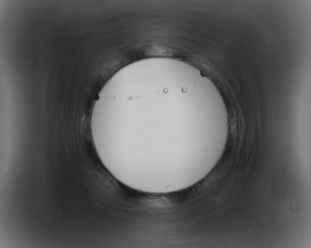 X0000083010322200703021946