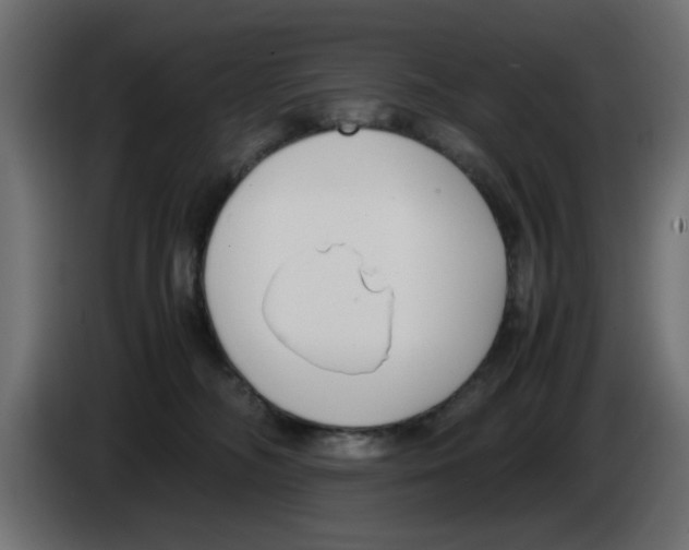 X0000083010326200703021946