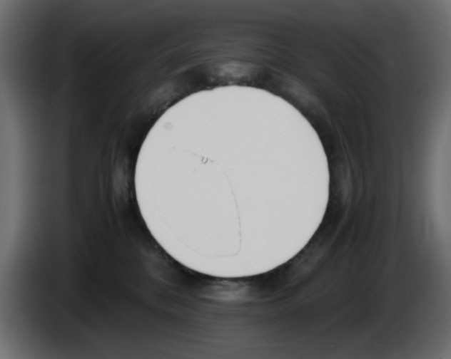 X0000083010328200703021946