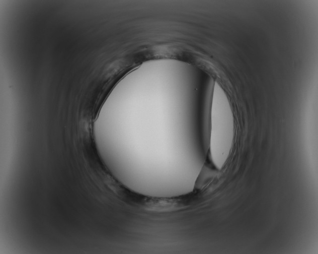 X0000083010329200703021946