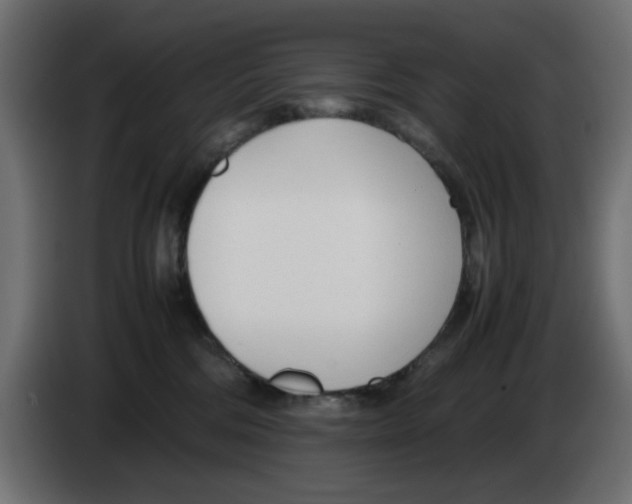 X0000083010330200703021946