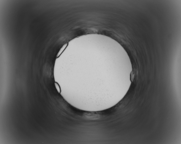 X0000083010331200703021946