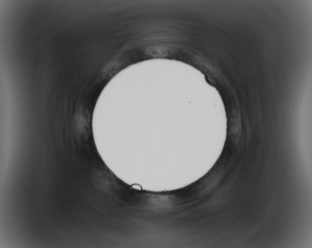 X0000083010332200703021946