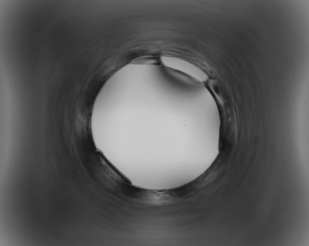 X0000083010333200703021946